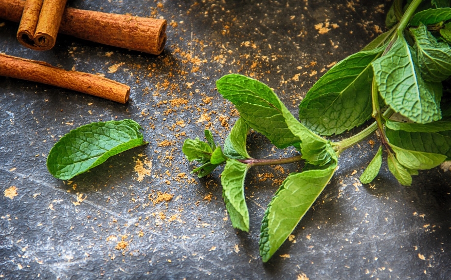 chinese herbal mint