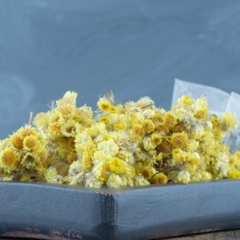 Clearing Heat and Detoxifying with Chrysanthemum in Traditional Chinese Medicine